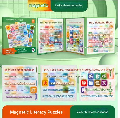 Variant: Color Series 6 - Picture Matching Set 12 (Pack of 1)