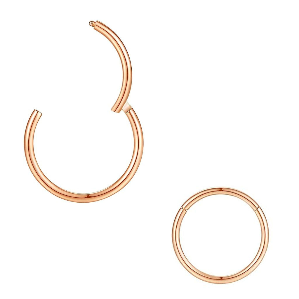 variety of nose rings on display