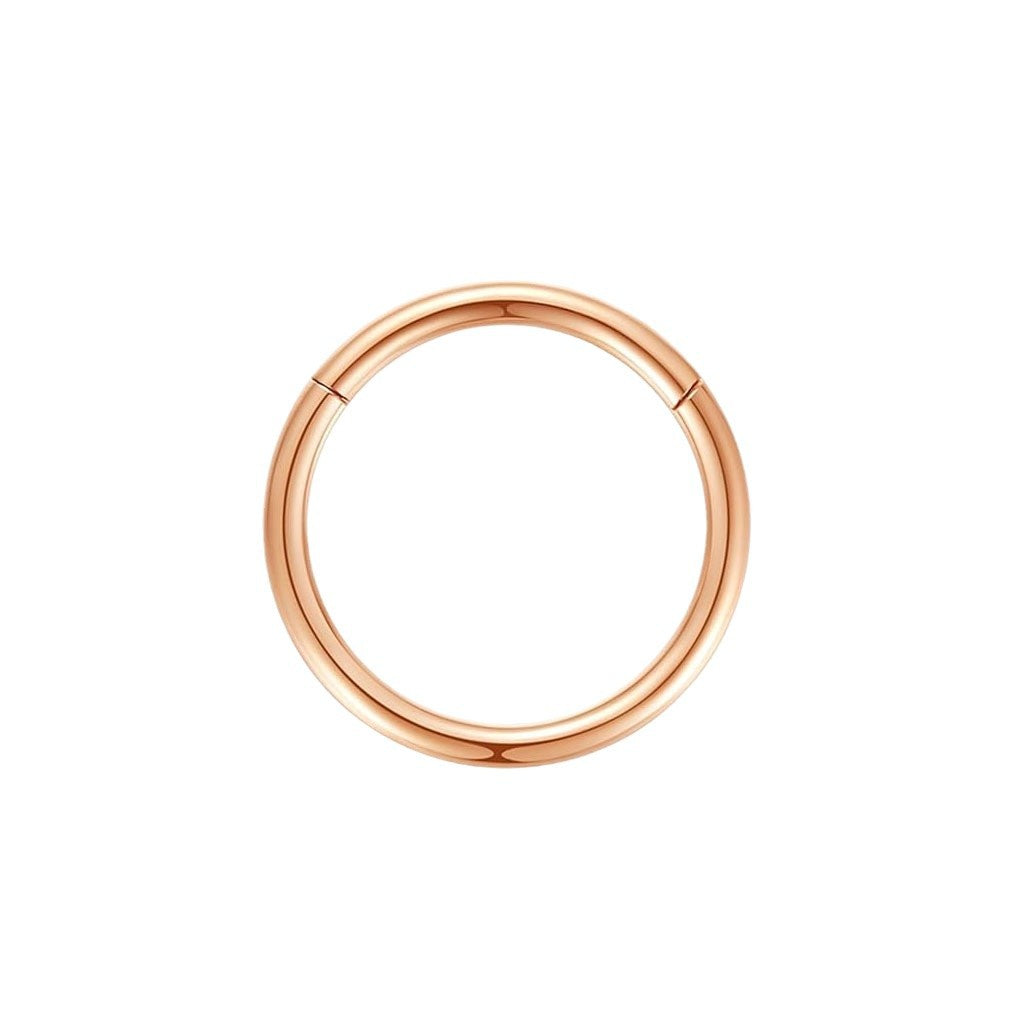 clean stainless steel nose rings